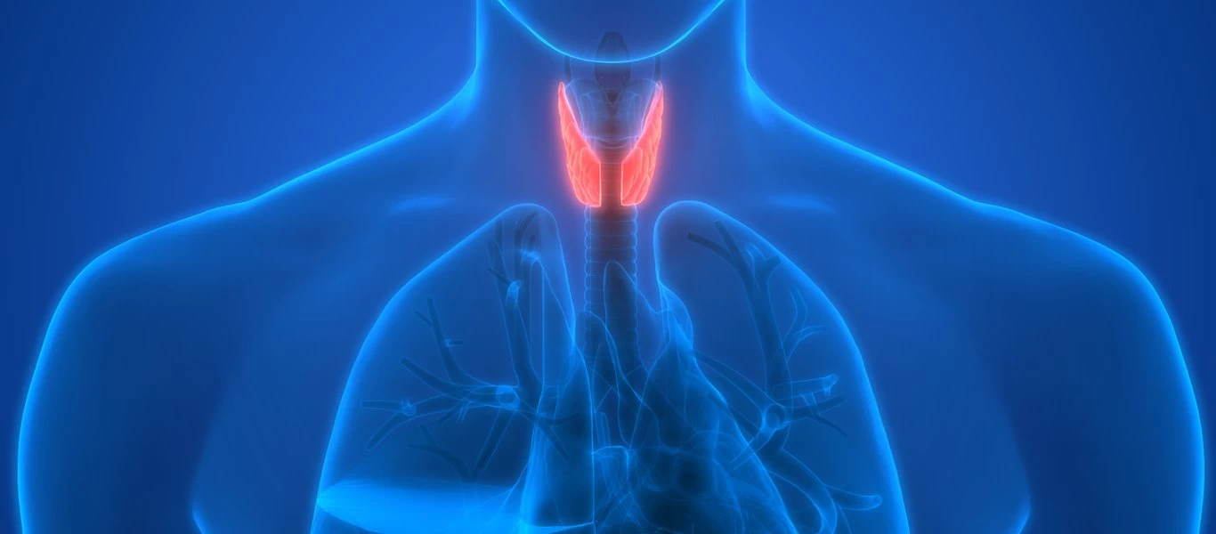 Πώς γίνεται η αυτοεξέταση του θυρεοειδούς αδένα;